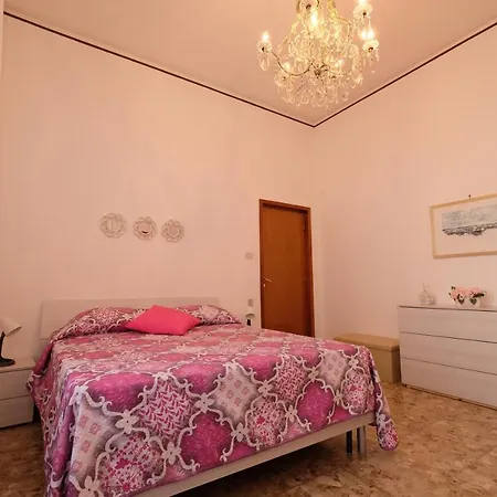Orchidea Pt -
