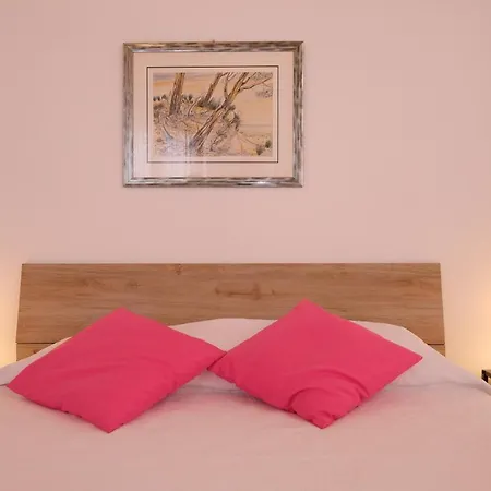 Orchidea Pt - * Pineto