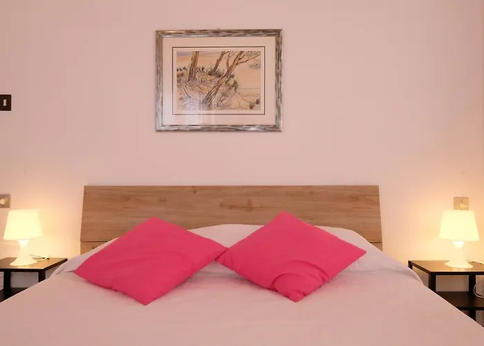 Orchidea Pt - * Pineto